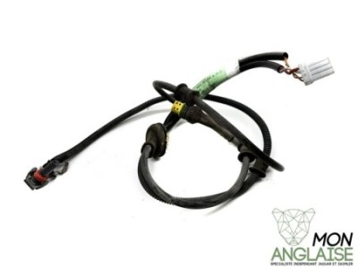 Faisceau ABS arrière avec amortisseurs adaptatifs Jaguar XJ8 1998-2002 | LNF3425BB