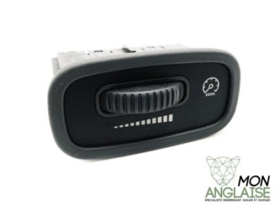 Atténuateur d'éclairage de TdB granit Jaguar S-Type 1999-2002 | XR81407LGP