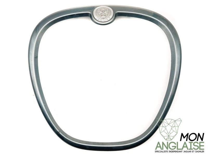 Entourage de calandre peint Jaguar S-Type 2004-2008 | XR840243EP