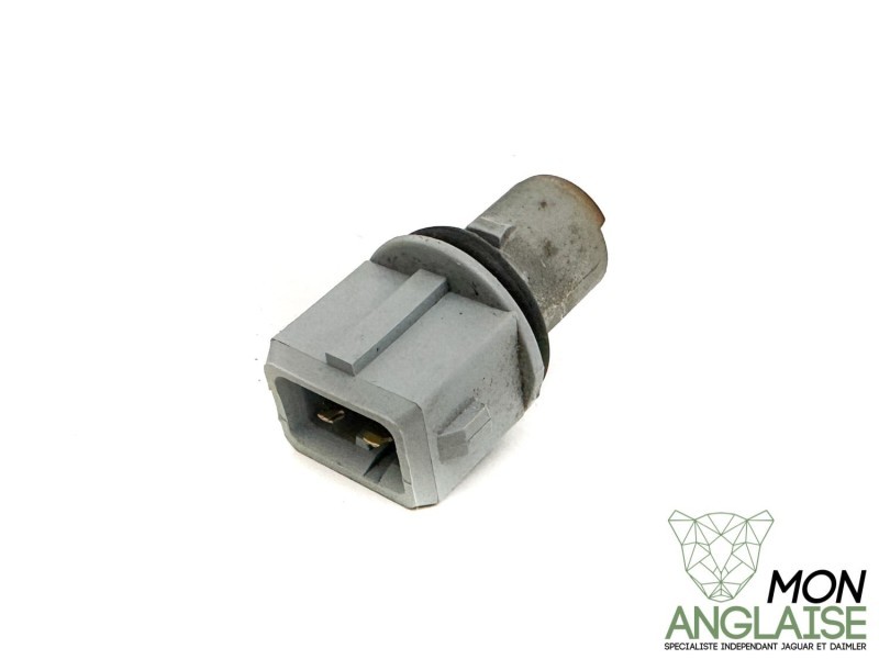 Porte ampoule de plaque d'immatriculation Jaguar XJ X350 2003-2009 | XR826715