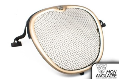 Calandre peinte Grille "R" Sport  Jaguar S-Type de 2003 à 2004 Référence OE : XR845002P