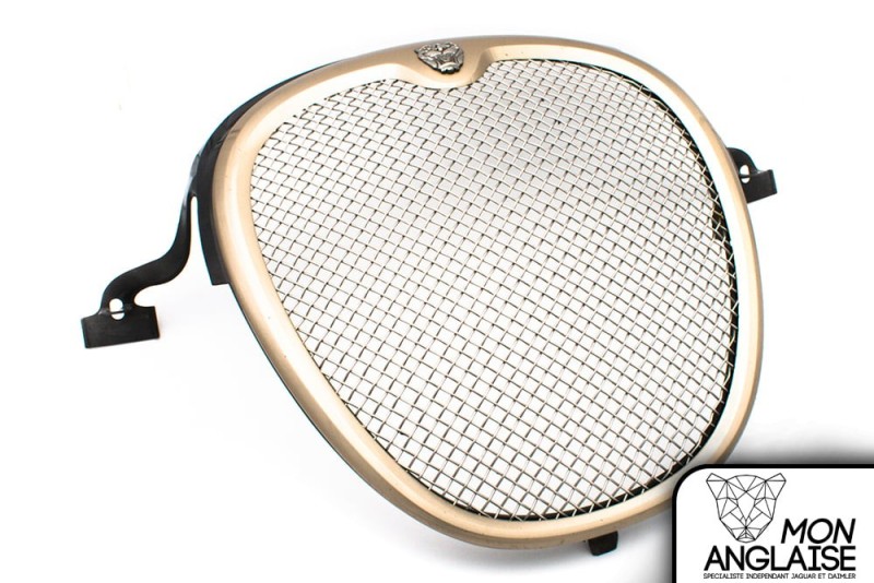 Calandre peinte Grille "R" Sport  Jaguar S-Type 2003-2004 | XR845002P