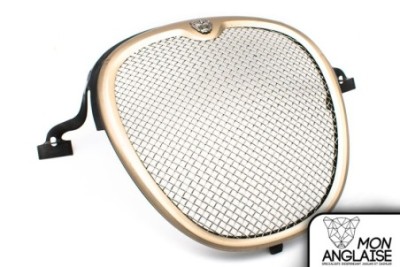Calandre peinte Grille "R" Sport  Jaguar S-Type 2003-2004 | XR845002P