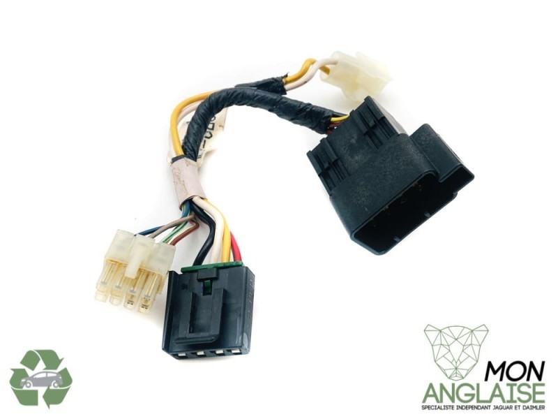 Faisceau de connexion du toit ouvrant Jaguar S-Type 1999-2008 | XR89171