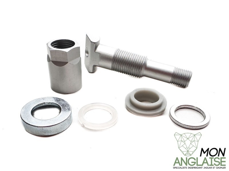 Kit entretien valve de pneu Type TG1C Jaguar XK 2006-2014 | C2D29156