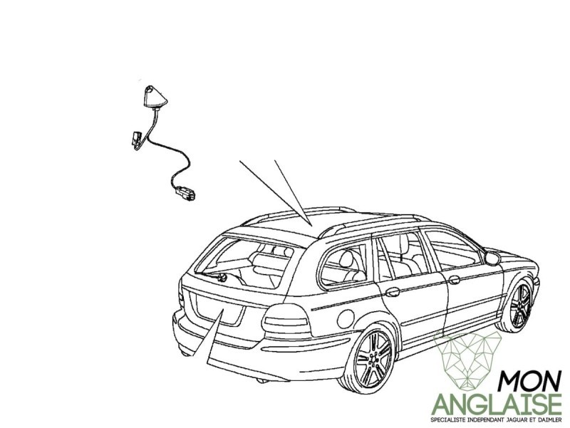 Antenne AM/FM Break Jaguar X-Type 2001-2009 | C2S34571