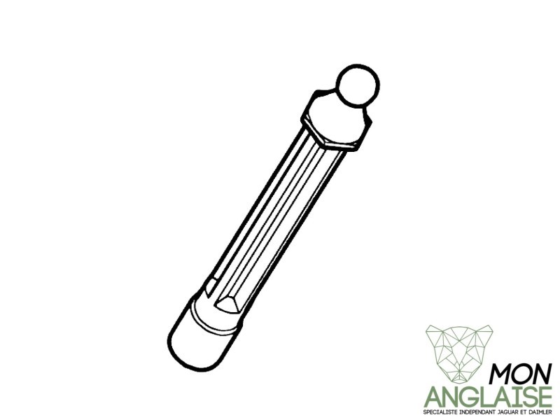 Goujon de fixation de couvercle moteur Jaguar S-Type 2004-2008 | C2S30977