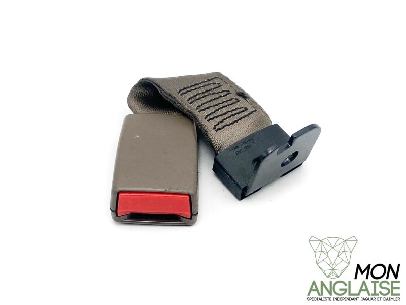Boucle de ceinture centrale arrière mocha Jaguar XJ X350 2005-2008 | C2C22805AMB