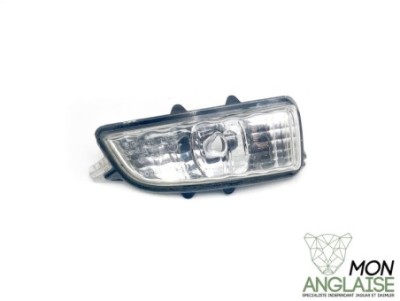 Répétiteur de rétroviseur droite Jaguar X-Type 2009-2009 | REPRD