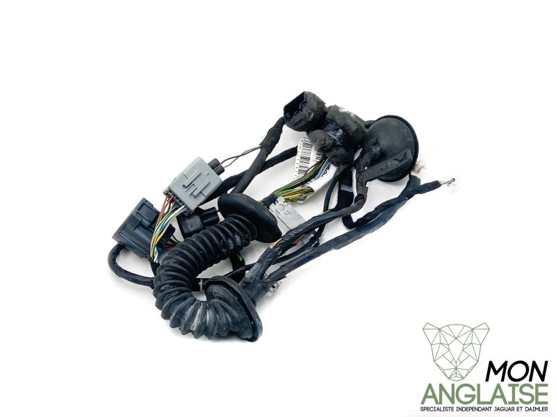 Faisceau de portière arrière droite Jaguar XJ X350 2008-2008 | C2C39150