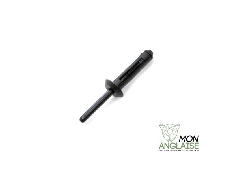 Rivet à vis Jaguar XK8 1996-2006 | KRA106001