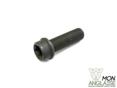Vis de poulie d'arbre à came M12 X 38MM Jaguar XK8 de 1999 à 2006 Référence OE : AJ83900