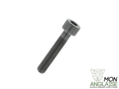 Vis de poulie d'arbre à came M12 X 63MM Jaguar XJ8 de 1998 à 2002 Référence OE : NCA2656AB