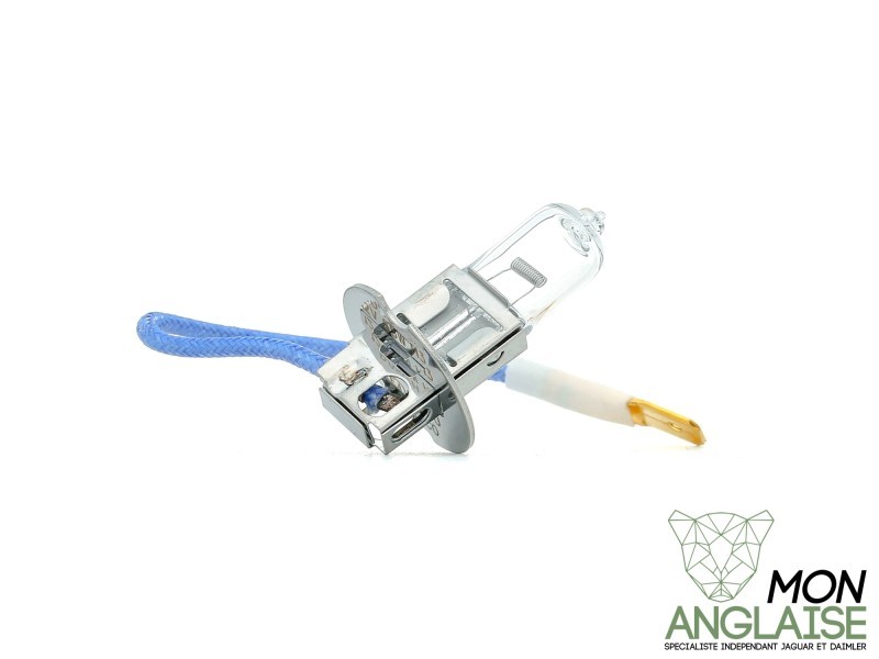 Ampoule de feu antibrouillard avant Jaguar S-Type de 1999 à 2004 Référence OE : XR812419