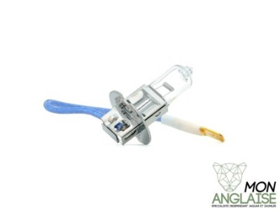 Ampoule de feu antibrouillard avant Jaguar XJ X350 de 2003 à 2007 Référence OE : XR812419