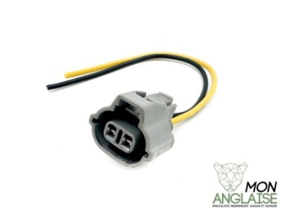 Connecteur Boîtier papillon Jaguar S-Type de 2002 à 2005 Référence OE : PRISEBP