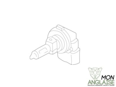 Ampoule d'antibrouillard avant Jaguar XJ40 1986-1994 | DBC11313