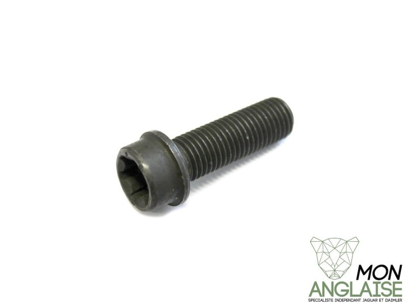 Vis de poulie d'arbre à came M12 X 38MM Jaguar XK8 1999-2006 | AJ83900