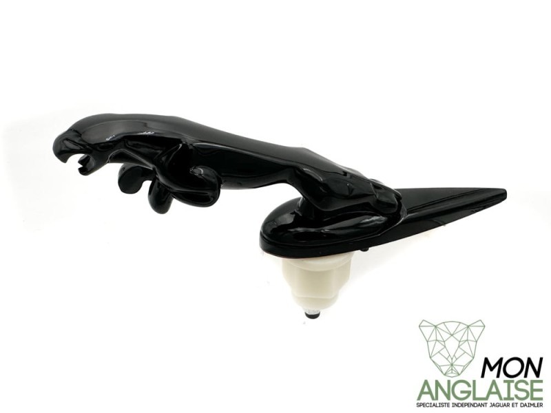 Leaper de capot noir Jaguar X-Type 2001-2009 | LEAPERB