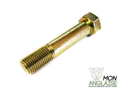 Boulon inférieur d'amortisseur Jaguar X300 1995-1997 | CAC9626