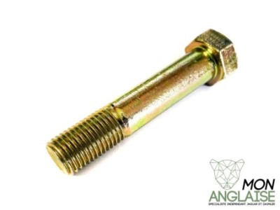 Boulon inférieur d'amortisseur Jaguar XJ40 1987-1994 | CAC9626