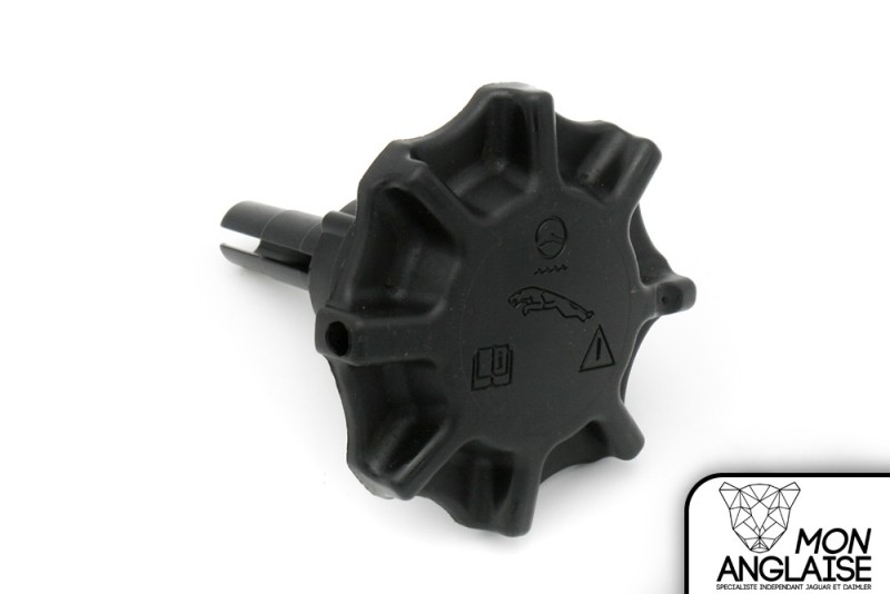 Bouchon de réservoir de direction assistée Jaguar X-Type 2001-2009 | C2S20049