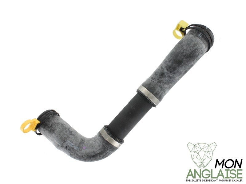 Durite inférieur de radiateur Jaguar S-Type 2006-2008 | XR850361
