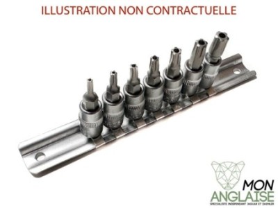 Douilles de sécurité TS TorX 5 branches Jaguar X-Type 2001-2009 | DOUILLETS