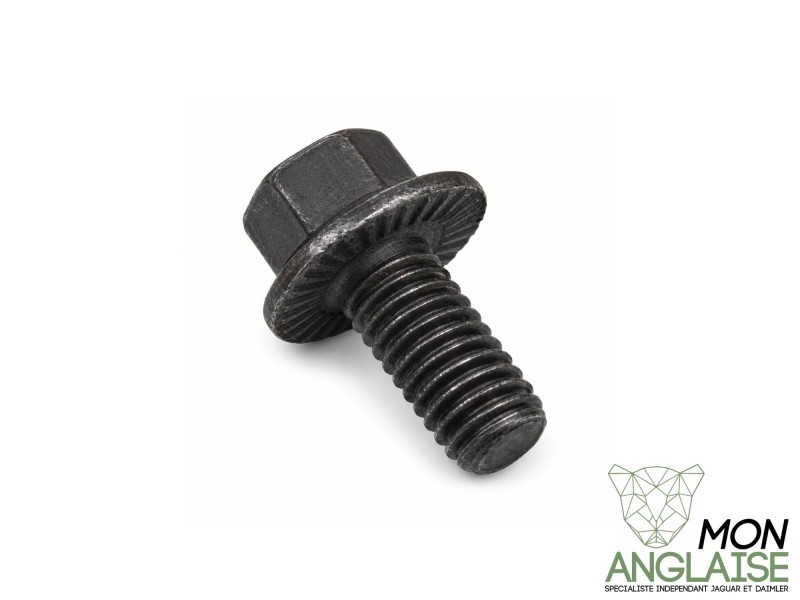 Vis de carter moteur M6 x 12mm Jaguar XJ8 1998-2002 | JZS100105