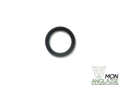 Joint torique de carburant Jaguar XJ40 1987-1994 | AGU1386