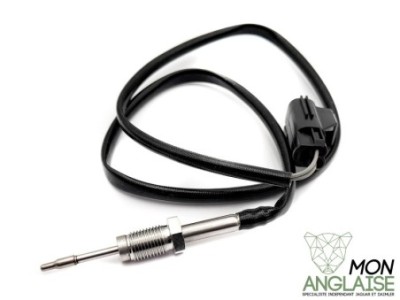 Capteur de température du gaz d'échappement supérieur Jaguar XJ X350 2003-2009 | C2C36030