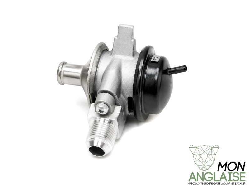 Soupape d'injection d'air secondaire Jaguar XJ X350 2003-2009 | C2C32934