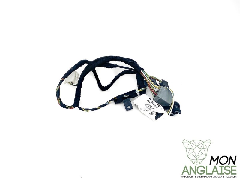 Faisceau de portière arrière  Jaguar XJ X350 de 2008 à 2009