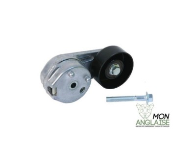 Tendeur de courroie d'entraînement Jaguar S-Type de 2000 à 2008 Référence OE : C2S45579