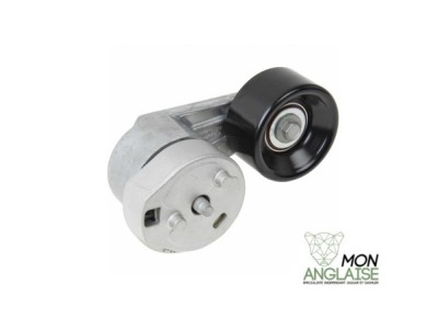 Tendeur de courroie de suralimenteur Jaguar S-Type de 2003 à 2008 Référence OE : C2C37057