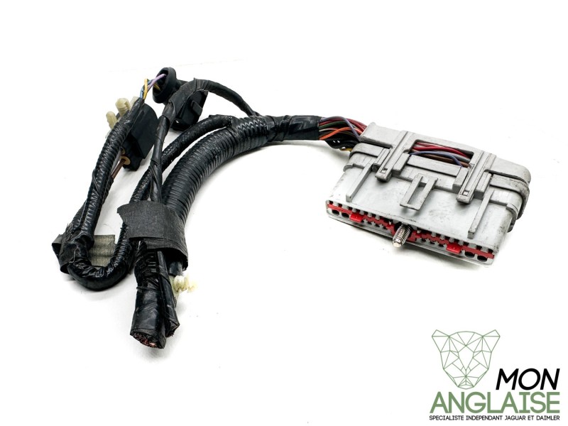 Broche module ABS Jaguar X300 de 1995 à 1997 Référence OE : BROABS300
