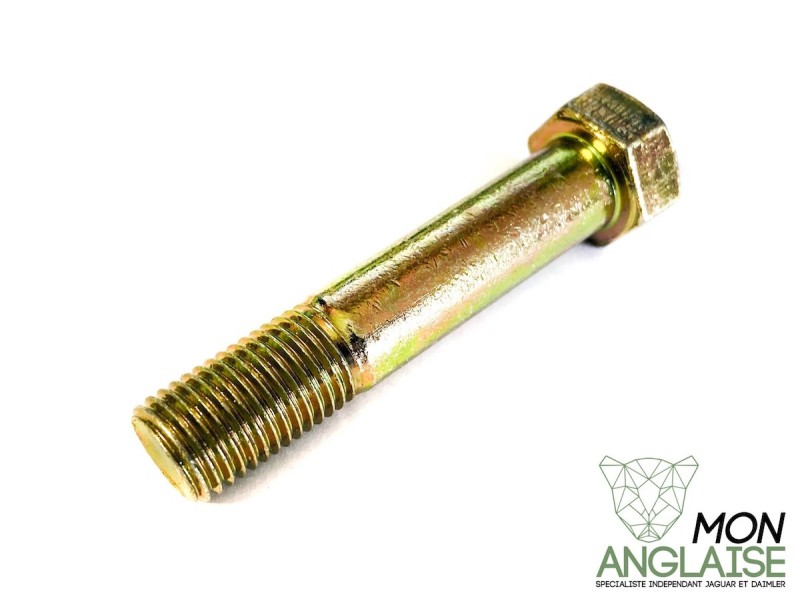 Boulon inférieur d'amortisseur Jaguar X300 de 1995 à 1997 Référence OE : CAC9626