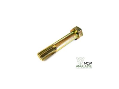 Boulon inférieur d'amortisseur Jaguar X300 de 1995 à 1997 Référence OE : CAC9626