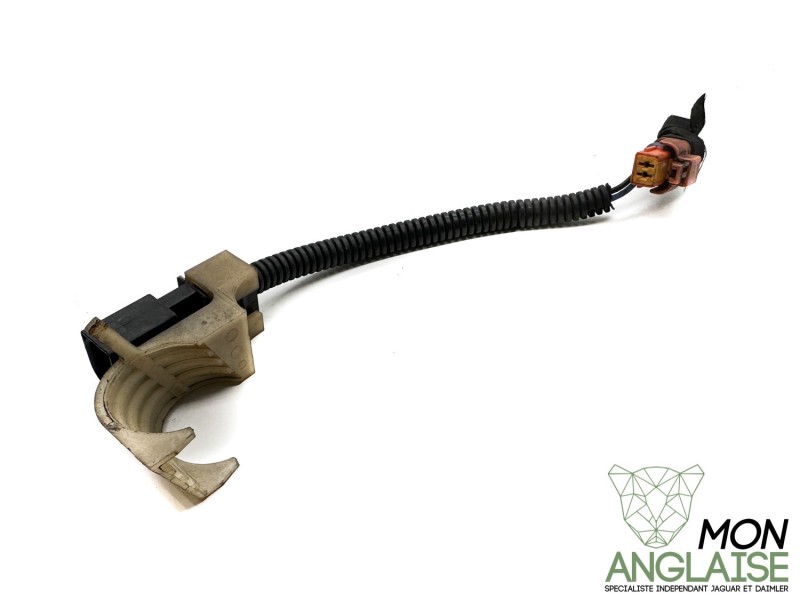 Câble de connexion de pompe haute pression Jaguar XF de 2008 à 2009 Référence OE : C2C40862