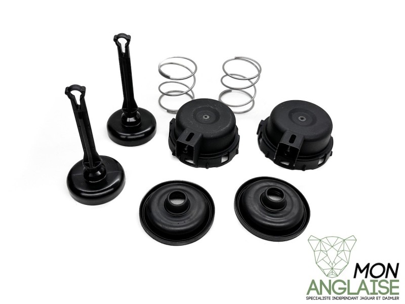 Kit valve de collecteur d'admission Jaguar XF de 2008 à 2009 Référence OE : C2C41233