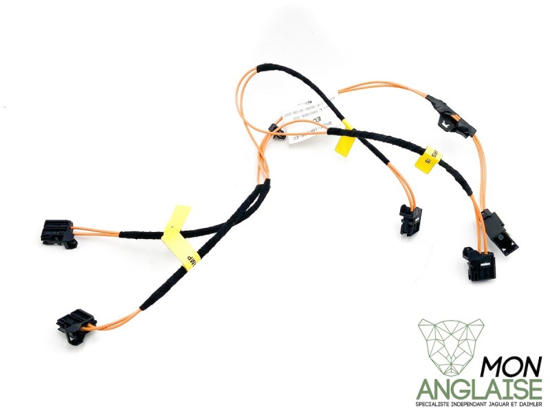 Cable de connexion de coffre Jaguar XF de 2008 à 2009 Référence OE : C2Z3785