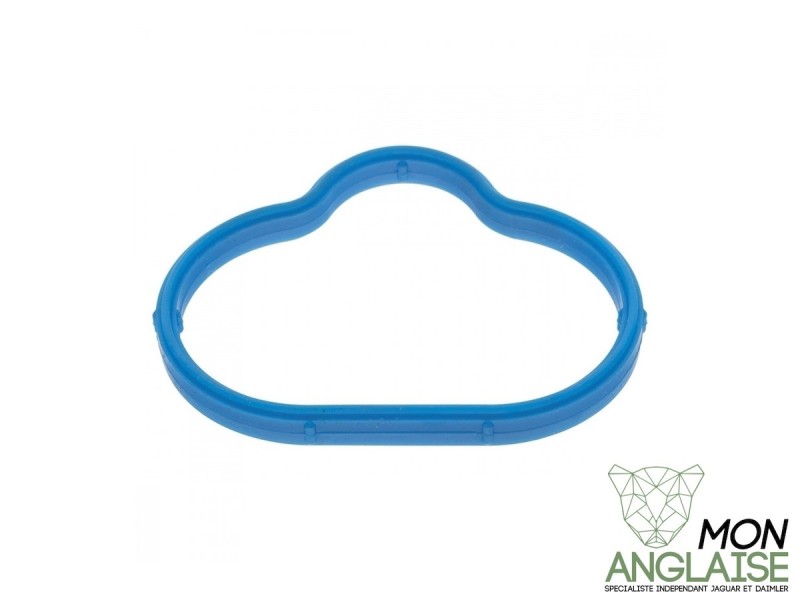 Joint de collecteur d'admission Jaguar XJ8 de 1999 à 2002 Référence OE : AJ83356