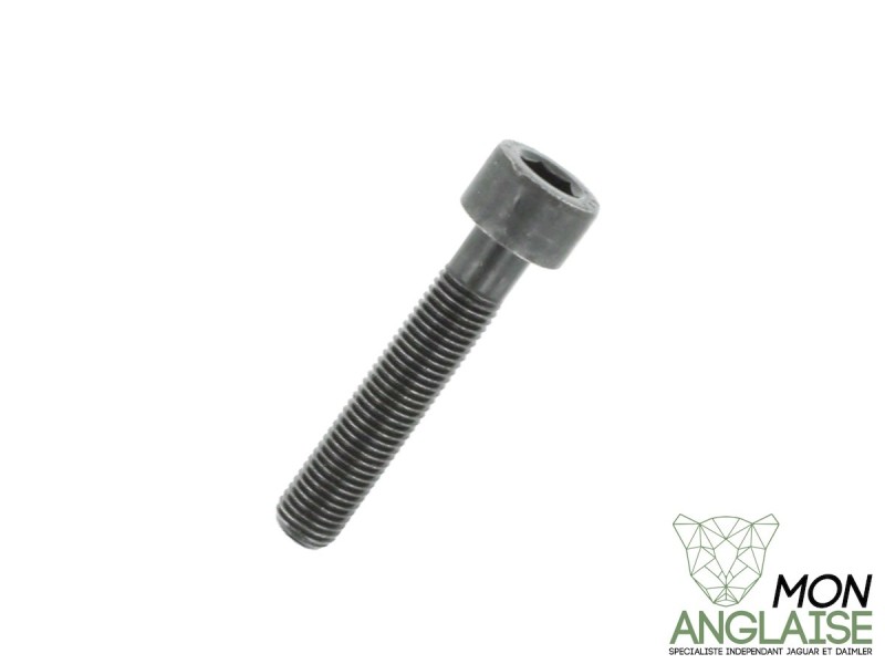 Vis de poulie d'arbre à came M12 X 63MM Jaguar XJ8 de 1998 à 2002 Référence OE : NCA2656AB
