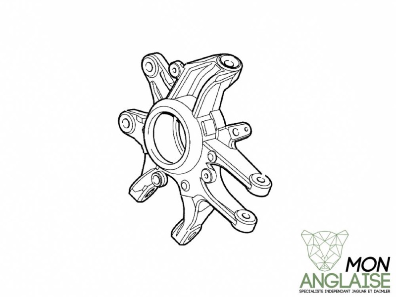 Porte moyeu arrière gauche Jaguar XJ X350 de 2005 à 2005 Référence OE : C2C24303