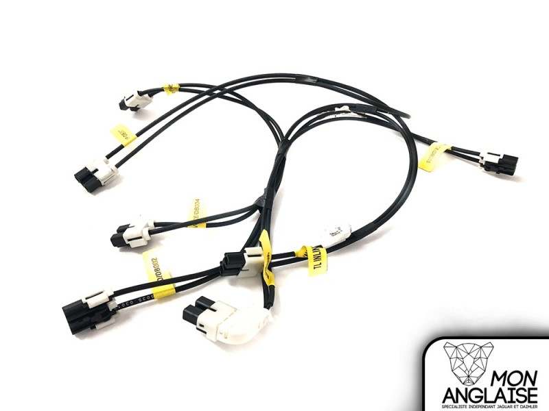 Faisceau de connexion radio fibre optique Jaguar XJ X350 de 2003 à 2007 Référence OE : C2C21853