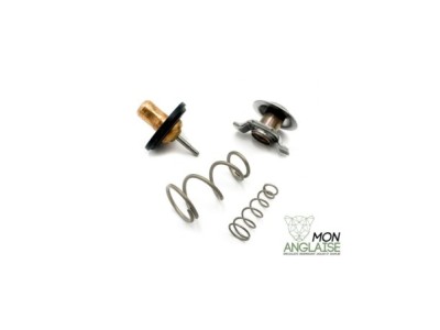 Thermostat Jaguar XJ X350 de 2006 à 2009 Référence OE : AJ811788