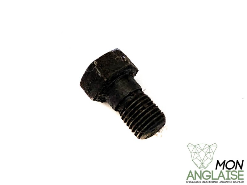 Vis d'arrêt arbre à came Jaguar XJS de 1975 à 1996 Référence OE : JZB100042