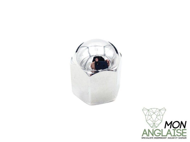 Écrou de culasse Jaguar XJS de 1975 à 1996 Référence OE : C37523