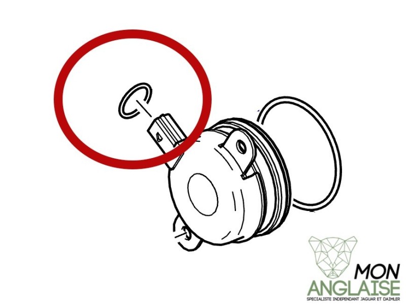 Joint torique de prise VVT Jaguar XK de 2010 à 2013 Référence OE : AJ813070