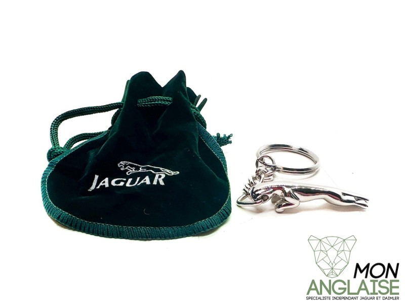 Porte clé Jaguar Jaguar XK de 2006 à 2014 Référence OE : AC8000
